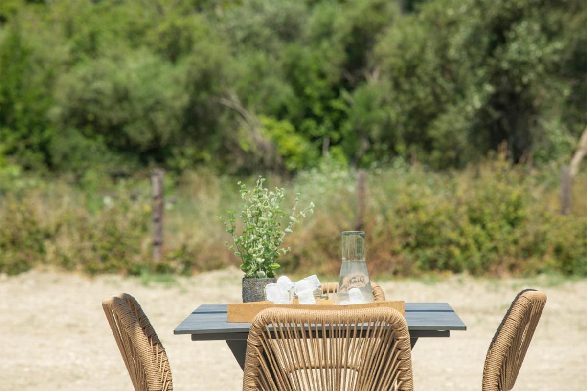 Seascape Villas Vassiliki - Beachfront Villas ภายนอก รูปภาพ